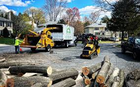 Organic Lawn Care Solutions in Minoa, NY