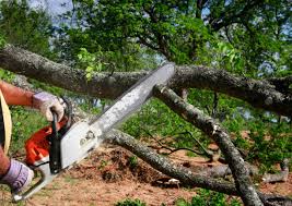 Best Leaf Removal  in Minoa, NY